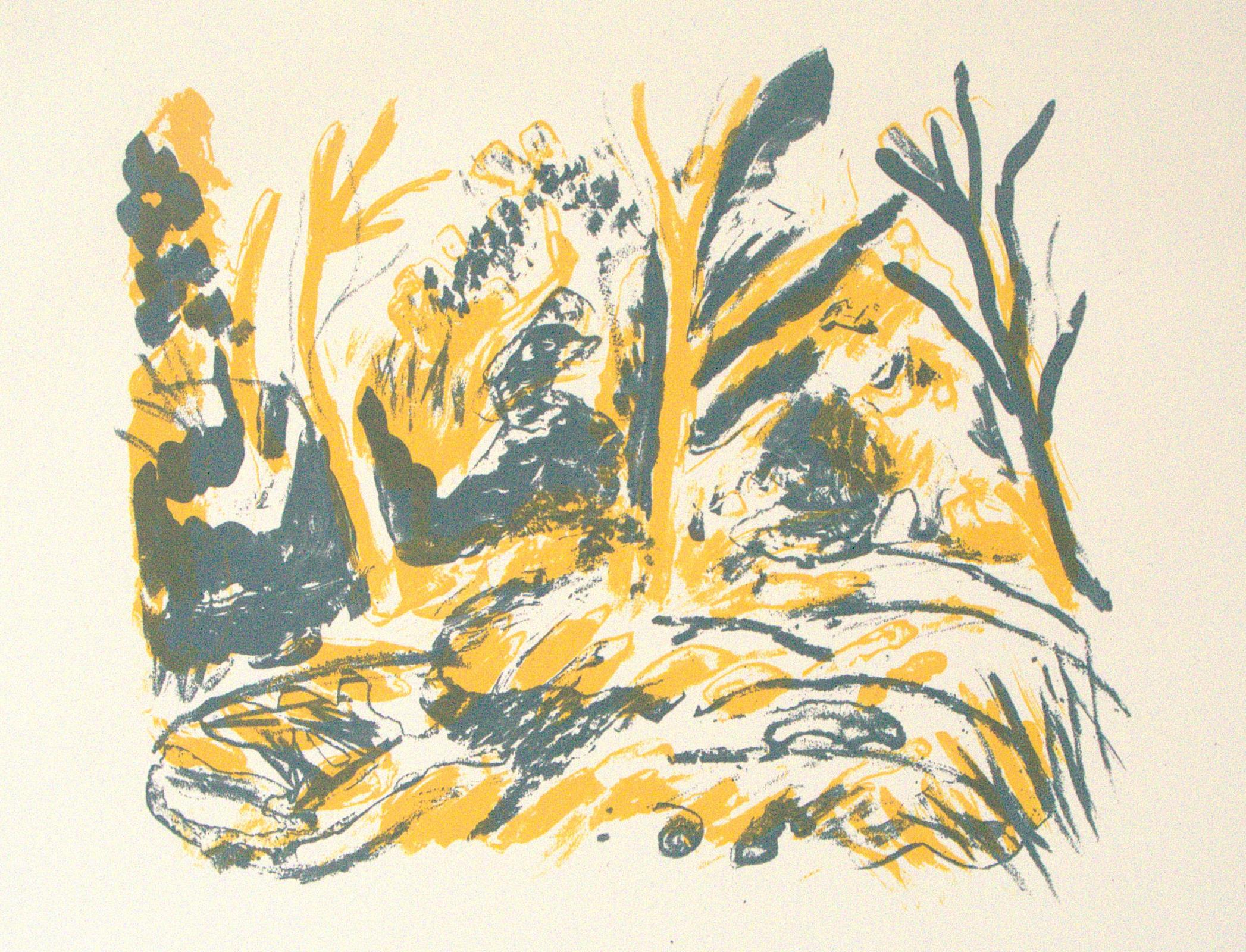 Dulwich Woods
